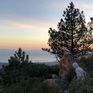 Meet your Posher, Pablo